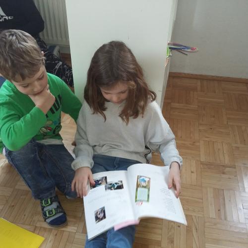 Kinder lesen