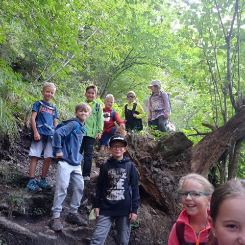 Kinder im Wald