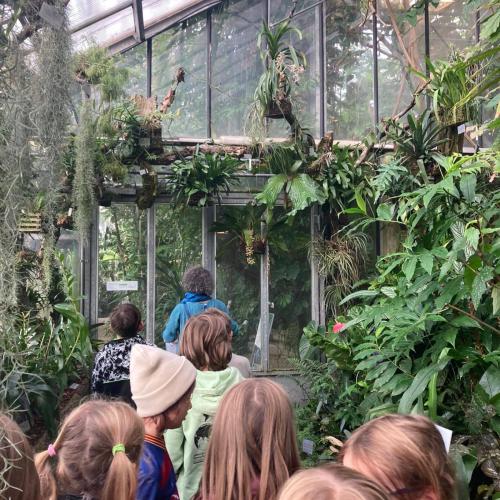 botanischer Garten