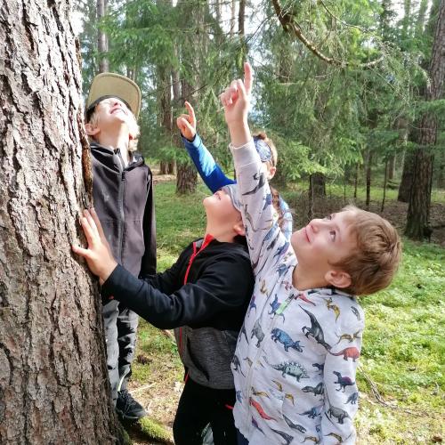 Waldtag
