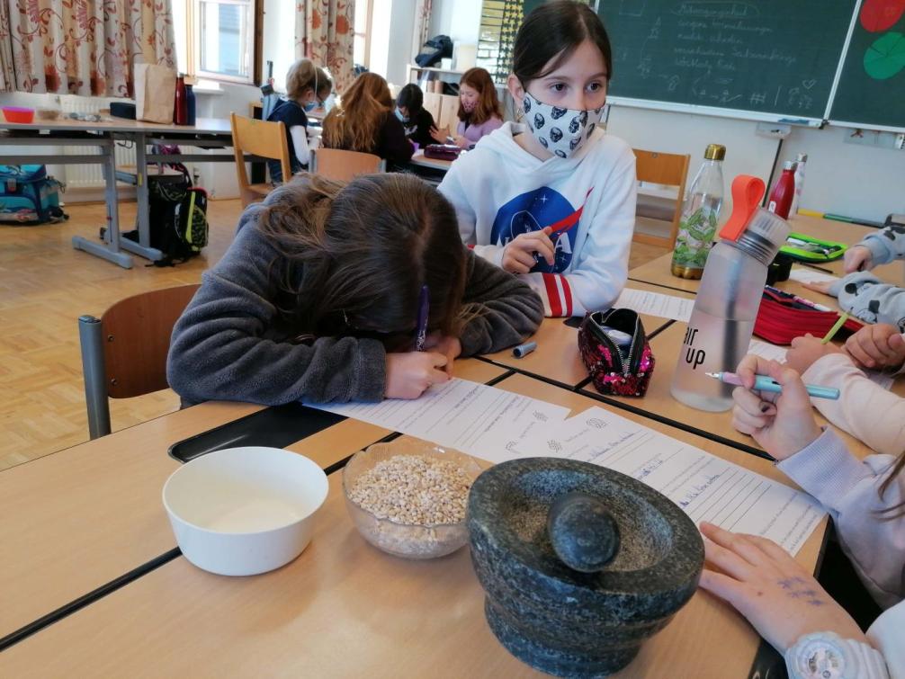 Vom Korn zum Brot