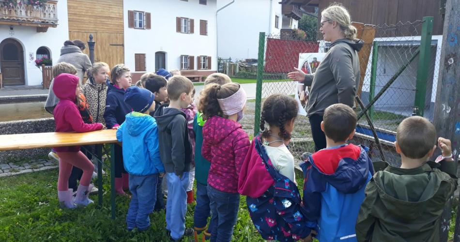 Kartoffelernte im Schulgarten