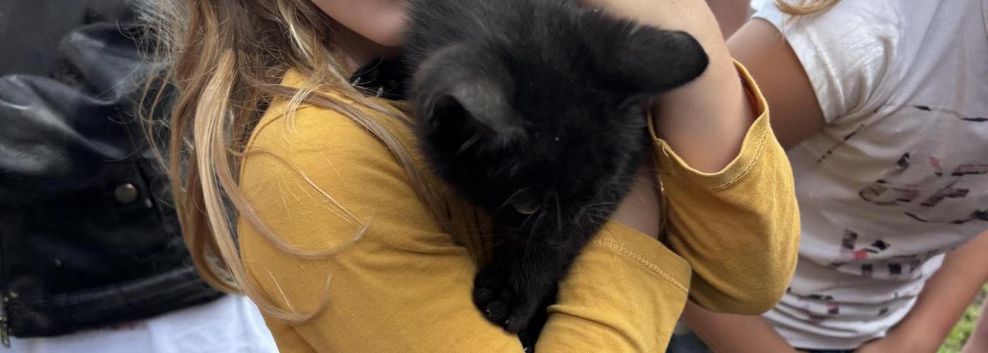 Katz